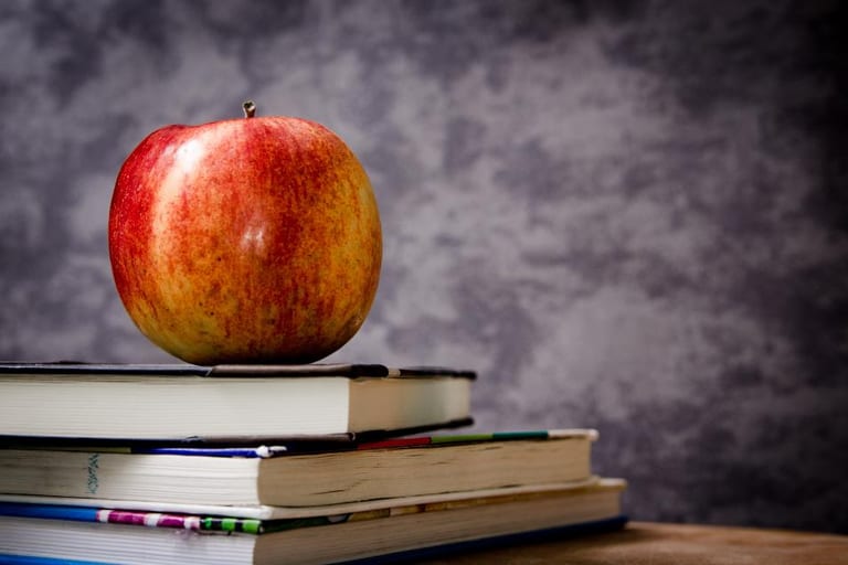 インターナショナルスクールの学費はいくらかかる?