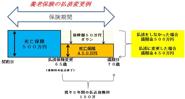 養老保険払い済み