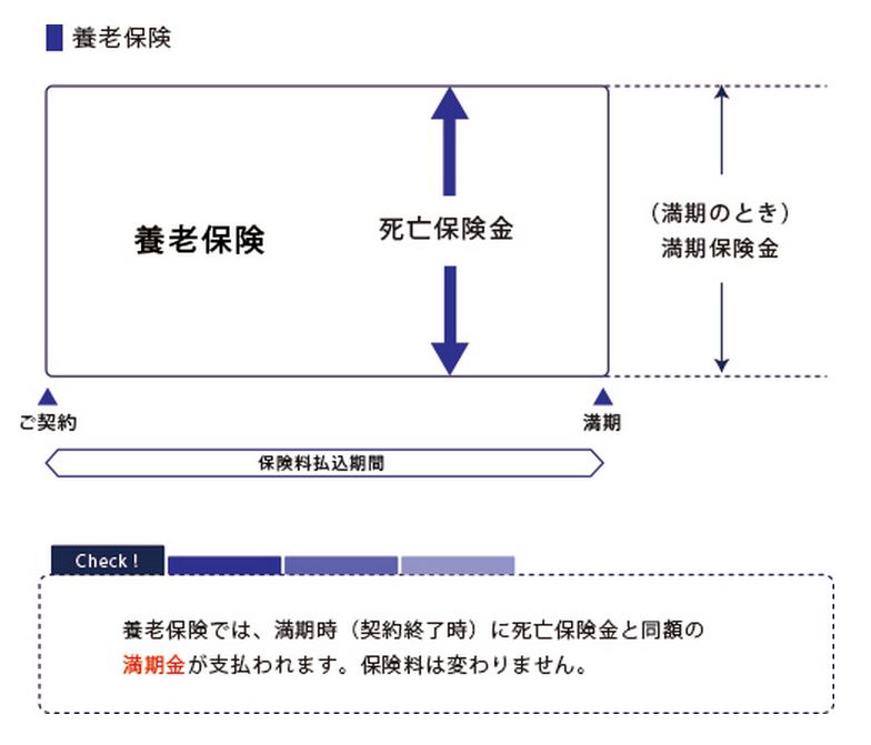 養老保険の図