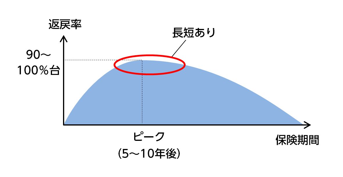 2分の1損金の傾向